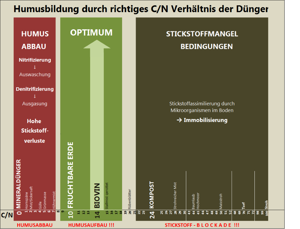Das optimale Verhältnis von organischem Kohlenstoff und Stickstoff liegt bei ca. 10 Diagramm: Darstellung des optimalen Verhältnisses zwischen organischem Kohlenstoff und Stickstoff in Düngern