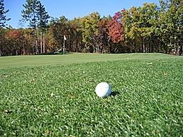 Biovin - gut für den Rasen Foto: Golfball auf dem Golfplatzrasen liegend