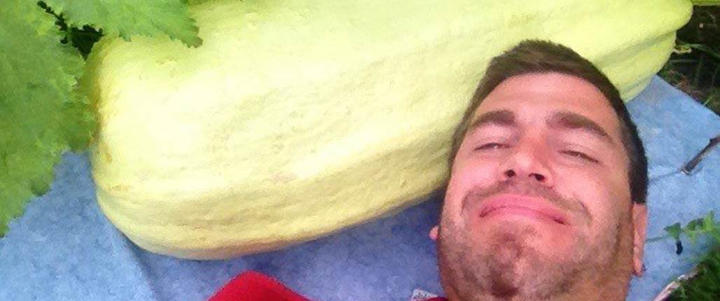 Riesenzuccini mit Biovin gezüchtet